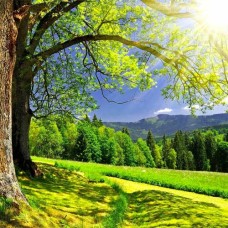 Summer Term 2026 - Beginners Plus Jazz Course